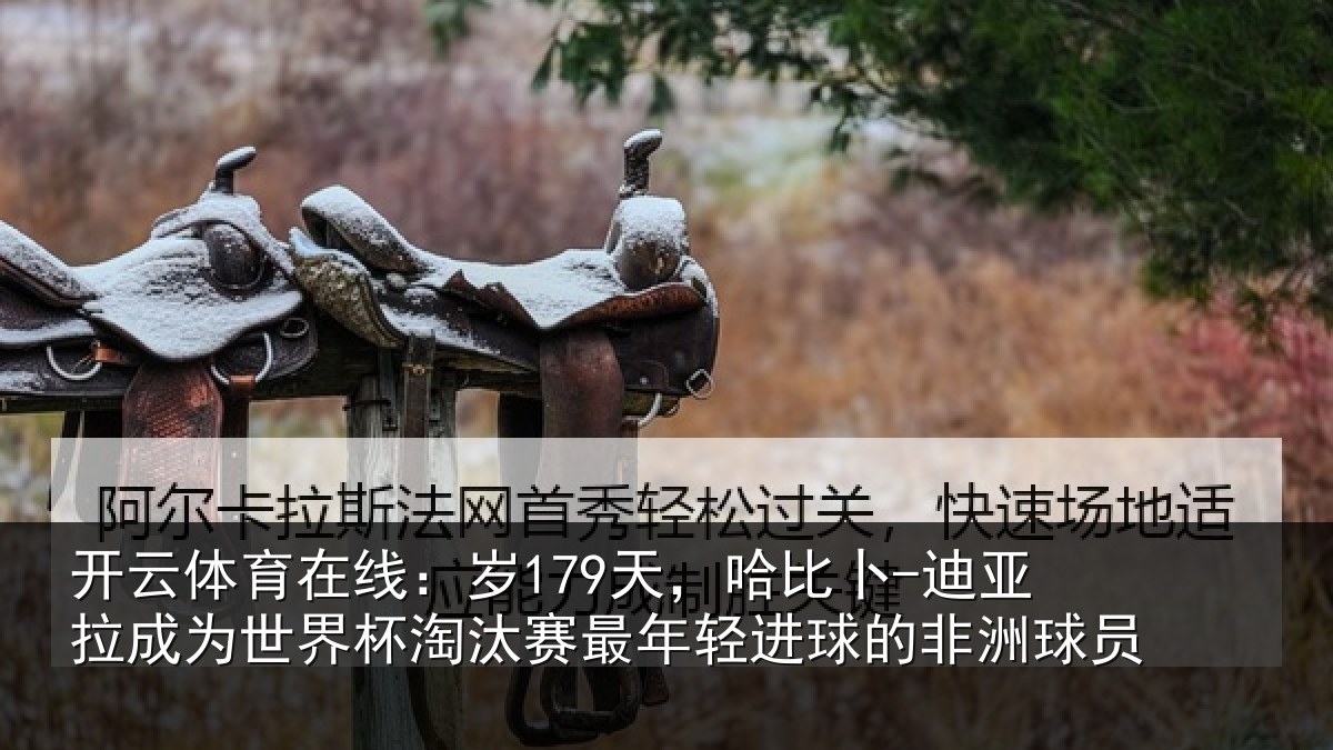 开云体育在线:岁179天,哈比卜-迪亚拉成为世界杯淘汰赛最年相关情况